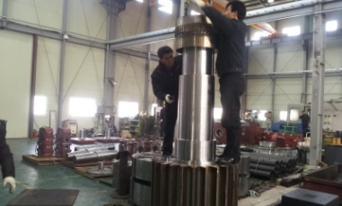 Pinion Assembly