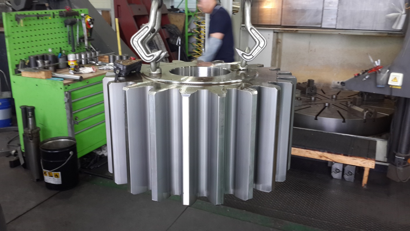 Pinion Gear